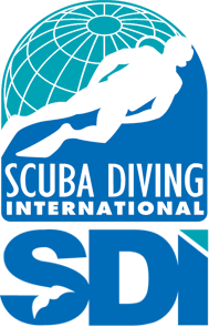 SDI - Certification for Freemen (Sorry Persons) - Sea Rovers Dive ...